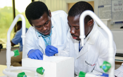 2020 Call for Applications: Intra-Africa Mobility Grants for Junior Researchers (supported by BMBF and AvH)