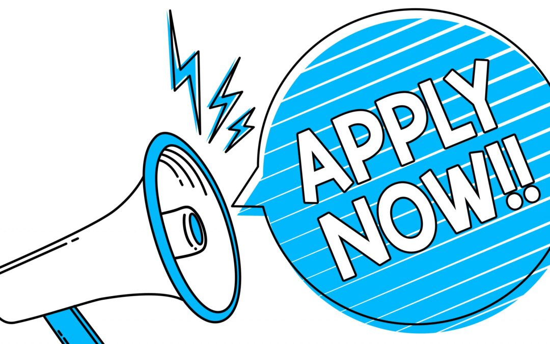 CALL FOR APPLICATIONS: Postdoctoral Fellowship in Partial Differential Equations and Calculus of Variations