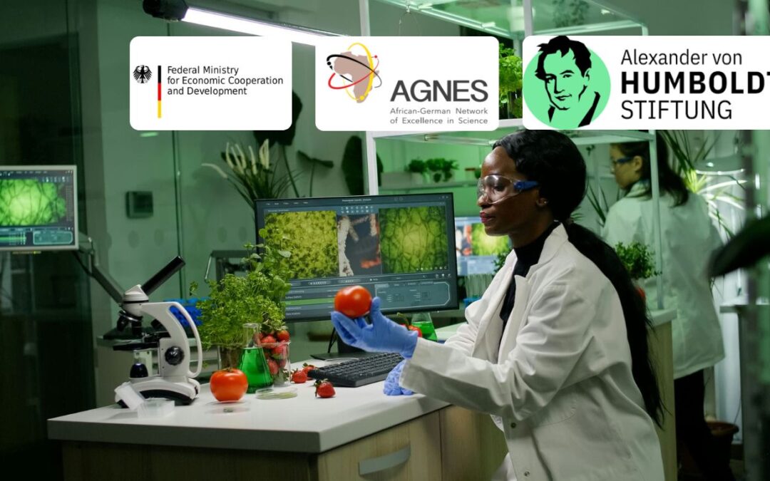 2025 AGNES Intra-Africa Mobility Grants for Junior Researchers